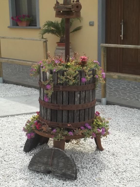 B&B La Casetta Dei Nonni Orvieto Zimmer foto